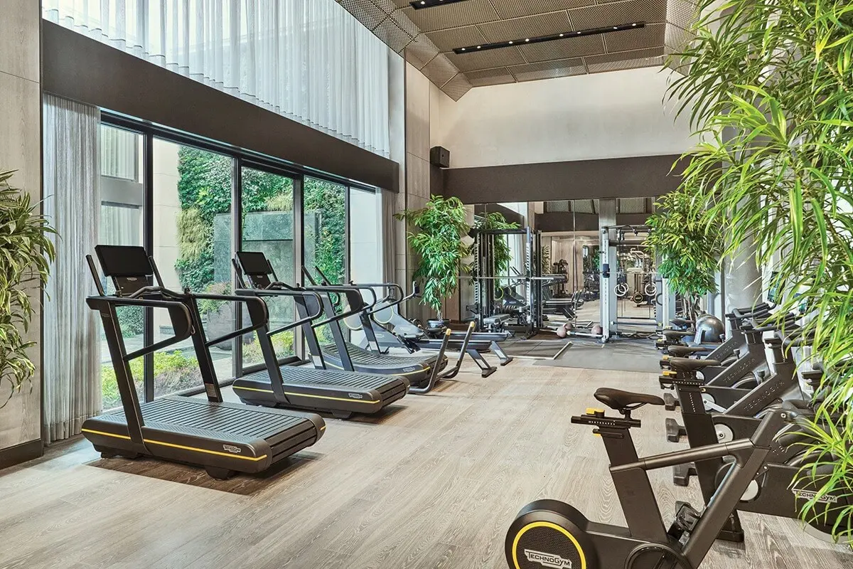 Modern gym